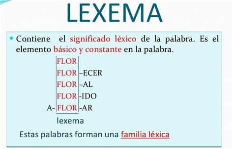 lexema morfema ejercicios